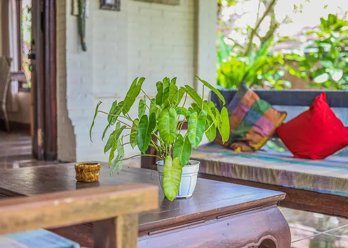 Sari Bamboo Ubud